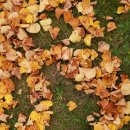 발칸을 가다 이미지