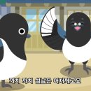 까치구제