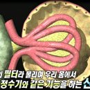 (주)으뜸기획
