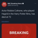 해리포터에서 해그리드 연기했던 배우 로비 콜트레인 사망 이미지