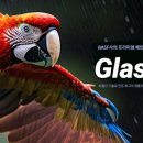 조광보수 이미지