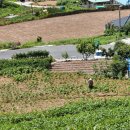 이목산전 이미지