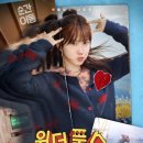 오가닉메이커협동조합 | 🎬 넷플릭스 드라마 '원더풀스' 정보 줄거리 출연진 평점&후기 OTT 트리비아 총정리
