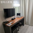 팜파스호텔제주 | [제주도/호텔] 팜파스호텔 제주 SNS에서 핫한 제주 숙소 다녀온 후기