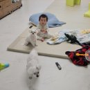 둘리동물병원 이미지