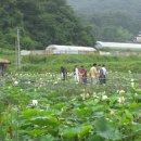 행복한마을(8단지) 이미지