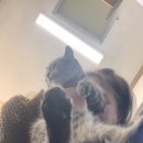 상주손세차 이미지