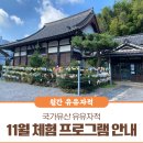 문학과 함께하는 아름다운 시낭송 | 11월 국내 여행지 및 국가유산 유유자적 체험 프로그램 추천