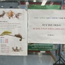 파블박사 이미지