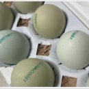 숲속청계농장 이미지