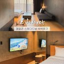 펫 패밀리 | 홍천 소노펫 패밀리 스탠다드뷰+소노펫포스트 솔직후기