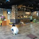 개편한카페 이미지