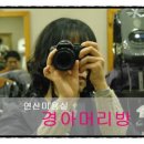 하나머리방 네이버블로그