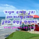 넥서스 골프연습장 | 코타키나발루 골프여행 골프장 추천 보르네오cc 2인골프 패키지 투어 비용 후기