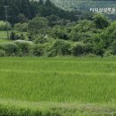 타워삼성공인중개사사무소 이미지