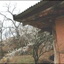 구름동산 이미지