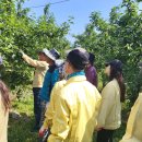 가곡동행정복지센터 이미지