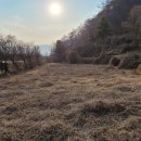 칠성면사무소 네이버블로그