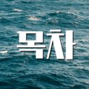 13번째고양이