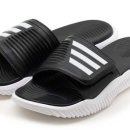 장미비디오 이미지