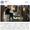 일생의 피티 이미지