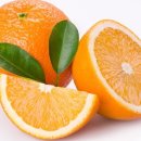 인퓨즈드 이미지