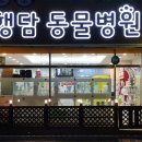 거산동물병원 이미지