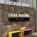 가든 | 제주 실내가볼만한곳 아이바가든 후기 | 포토존, 할인, 입장료 총정리