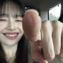 8월의 빈티지 이미지