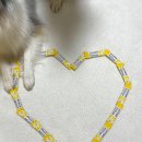 헬로우댕댕 | 강아지 뉴트리댕댕 유산균 추천 황금똥 봤어요