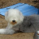 장비농장 이미지