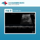 월평동물병원 이미지