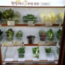 냠냠족발&보쌈 이미지