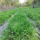 터골농장 이미지