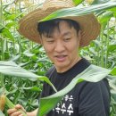 참좋은몰 이미지