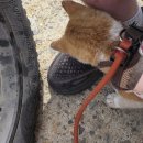 송정대로2L-6 | 🍚 구미 송정동 삼부 한식뷔페 솔직 후기