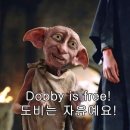 준(June)오월 일상