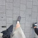 손선호웰빙함흥냉면 이미지