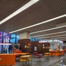 마곡도넛 | 서울 강서 올드페리도넛 마곡점 추천도넛(티라미수, 메이플피칸)