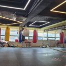 와일드복싱짐 안양관 이미지