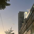 레몬사우나 이미지