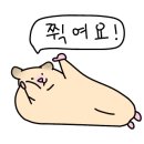 데비(Debby)
