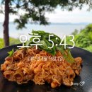 드롭탑전남보성점