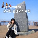 보령종합카정비 | 홍성 오서산 등산코스 백대명산 보령 억새 자연휴양림 최단코스