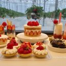 신규농장 이미지