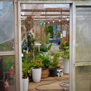 아리랜드 이미지