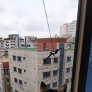 누리모토 이미지