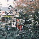 용두산공원 7호매점