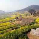 슬로시티청산도 이미지