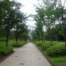 정자공원 이미지